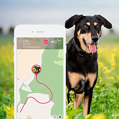 Aplicación para smartphone del rastreador