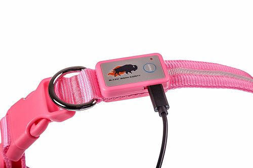 cargador del collar