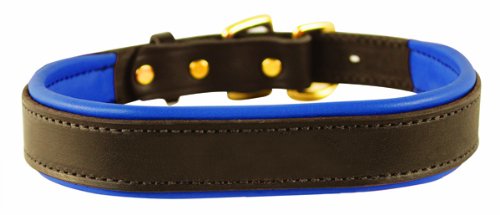 collar perri 's color azul con café de cuero acolchado para perro