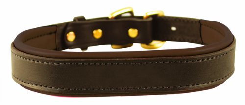 collar perri 's color café de cuero acolchado para perro