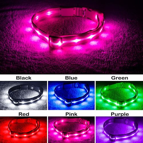 Collar de seguridad Led Blazin