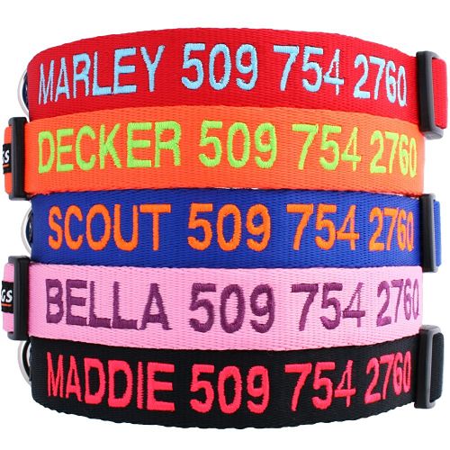 collar personalizado para perros gotags