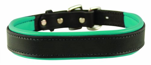 collar para perros color verde