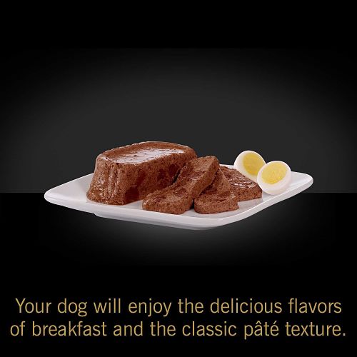 plato de alimento para perros