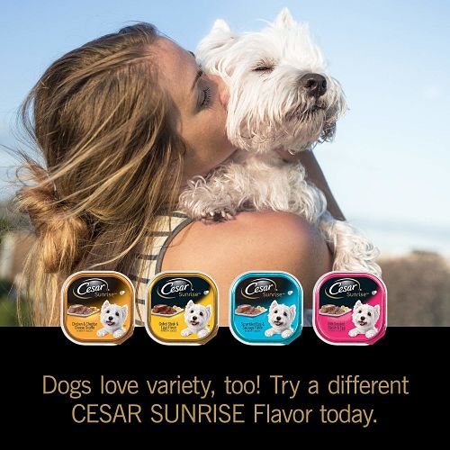 La mejor comida de perros